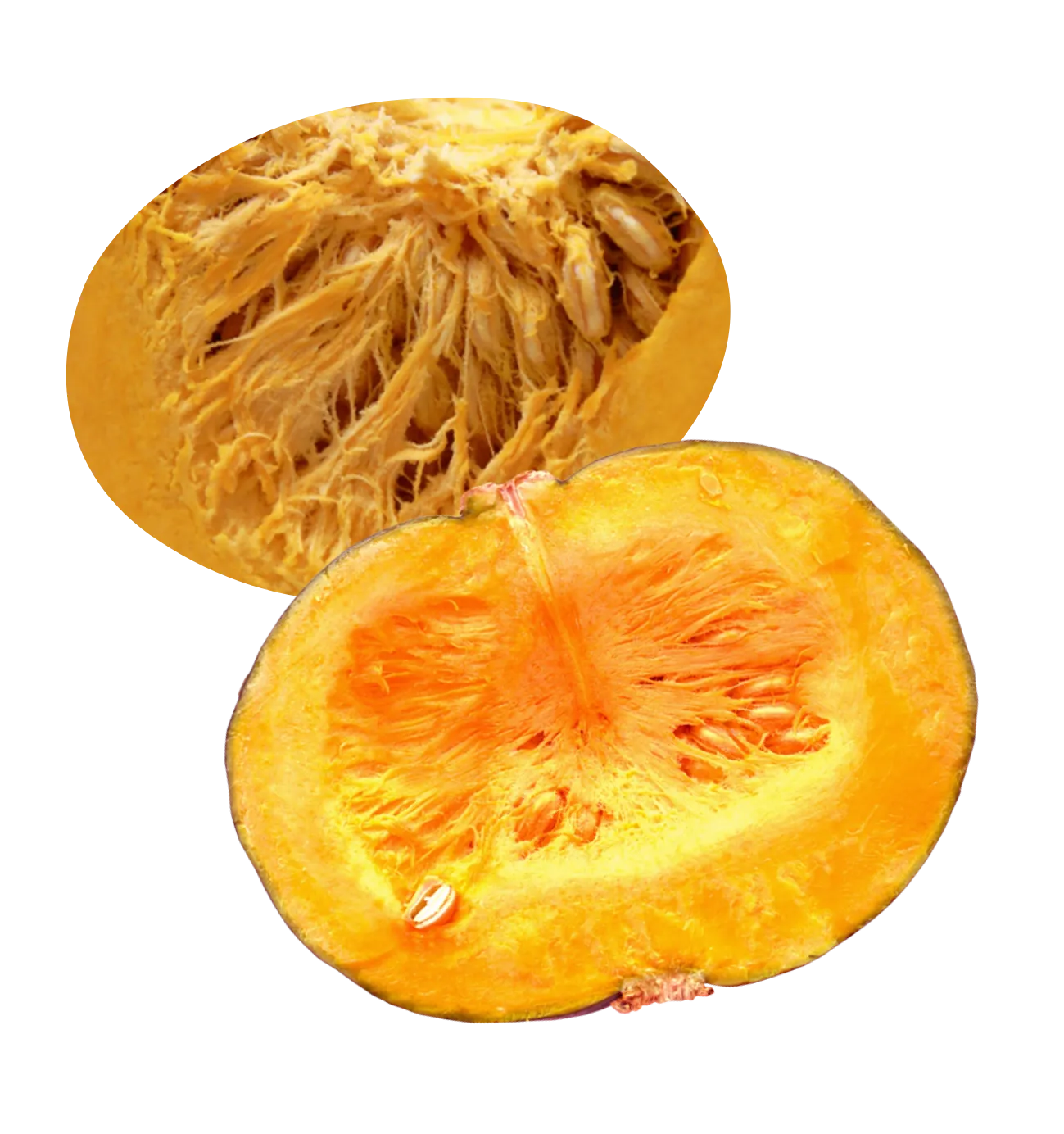 カボチャの写真