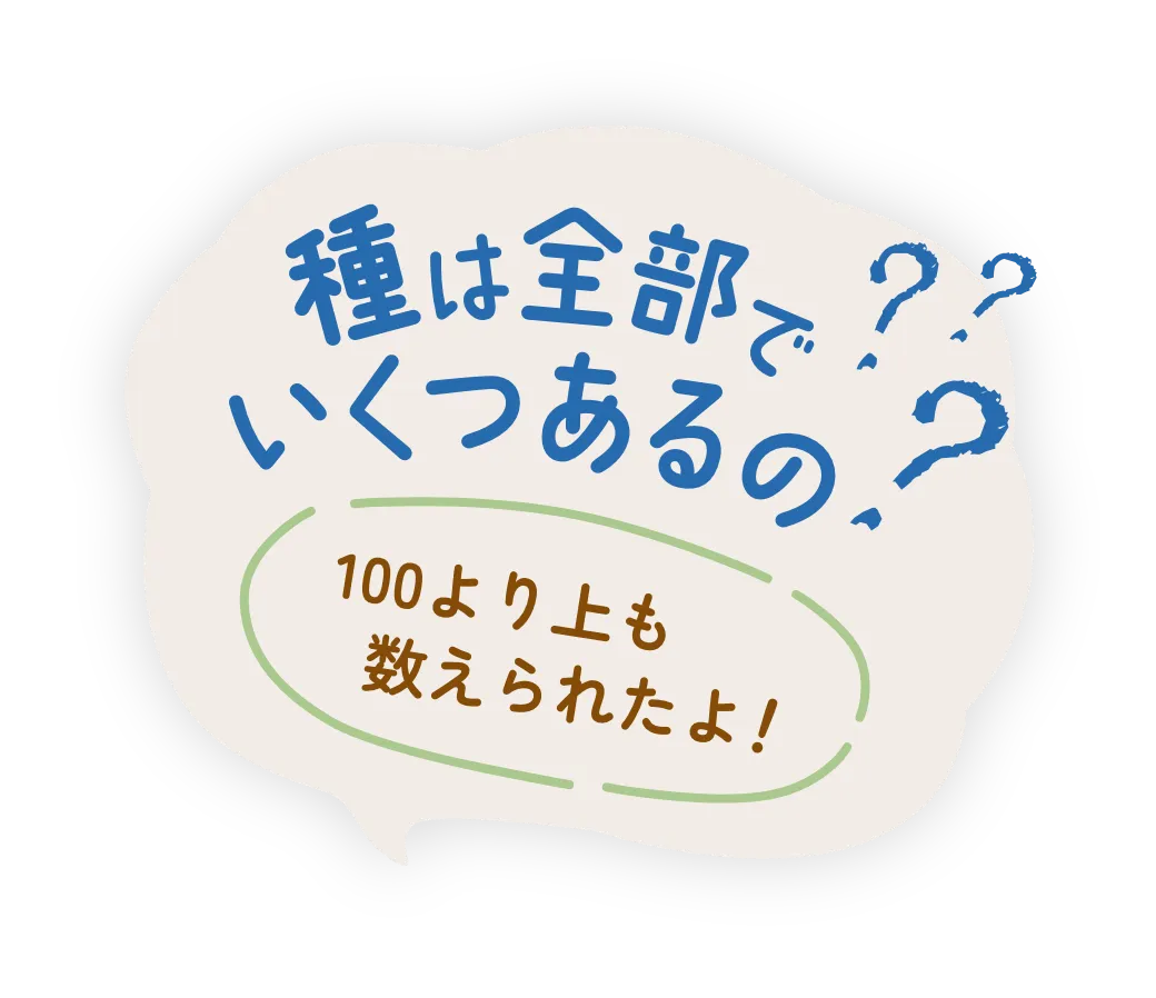 種は全部でいくつあるの?100より上も数えられたよ!